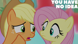 Size: 1280x720 | Tagged: safe, derpibooru import, edit, edited screencap, editor:quoterific, screencap, applejack, fluttershy, sounds of silence