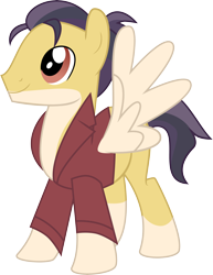 Size: 7536x9764 | Tagged: safe, artist:shootingstarsentry, derpibooru import, oc, pegasus, pony, absurd resolution, clothes, male, shirt, simple background, solo, stallion, transparent background