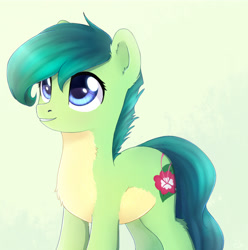 Size: 1022x1032 | Tagged: safe, artist:kaylemi, derpibooru import, oc, oc:kaylemi, earth pony, pony, earth pony oc, female