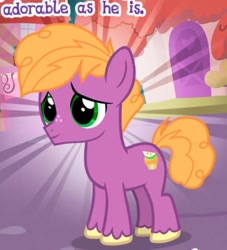 Size: 450x496 | Tagged: safe, derpibooru import, little mac, earth pony, pony, colt, cropped, foal, gameloft, male, meme, solo, wow! glimmer