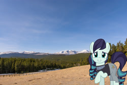 Size: 2048x1365 | Tagged: safe, artist:jaredking779, artist:jhayarr23, derpibooru import, coloratura, earth pony, pony, clothes, female, irl, looking at you, mare, mountain, mountain range, photo, ponies in real life, see-through, smiling, solo, story included, tree, wyoming