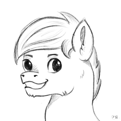 Size: 4134x4134 | Tagged: safe, artist:palettenight, derpibooru import, pony, bust, commission, portrait, sketch, smiling, solo, your character here