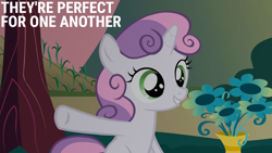 Size: 1920x1080 | Tagged: safe, derpibooru import, edit, edited screencap, editor:quoterific, screencap, sweetie belle, hearts and hooves day (episode), solo