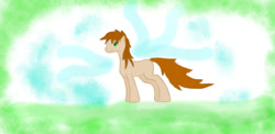 Size: 1223x599 | Tagged: safe, artist:samuel-neocros, derpibooru import, oc, oc only, oc:sam, earth pony, pony, abstract background, earth pony oc, male, solo, stallion