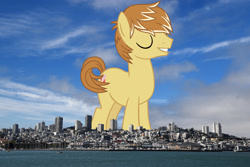 Size: 2048x1365 | Tagged: safe, artist:hendro107, artist:jaredking779, derpibooru import, feather bangs, earth pony, pony, california, eyes closed, giant pony, giant/macro earth pony, highrise ponies, irl, macro, male, mega giant, photo, ponies in real life, san francisco, smiling, solo, stallion