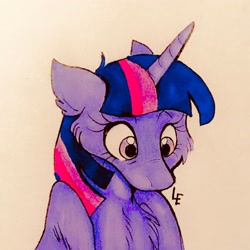 Size: 3024x3024 | Tagged: safe, artist:l0rdeden, derpibooru import, twilight sparkle, twilight sparkle (alicorn), alicorn, pony, cheek fluff, chest fluff, female, solo, traditional art