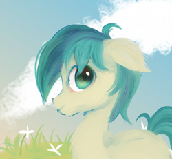 Size: 1080x1000 | Tagged: source needed, safe, artist:woolen cloe, derpibooru import, sandbar, earth pony, pony, cloud, ears, floppy ears, grass, looking at you, male, profile, sky, smiling, smiling at you, solo