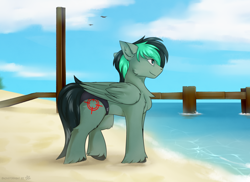 Size: 3400x2470 | Tagged: safe, artist:snowstormbat, derpibooru import, oc, oc only, oc:target strike, pegasus, pony, beach, clothes, male, ocean, pier, sand, solo, speedo, stallion, swimsuit, unshorn fetlocks, water