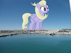 Size: 2048x1536 | Tagged: safe, artist:bluemeganium, artist:jaredking779, derpibooru import, sweet buzz, pegasus, pony, background pony, female, giant pegasus, giant pony, giantess, highrise ponies, irl, las pegasus resident, macro, mare, mega giant, morocco, photo, ponies in real life, tangier