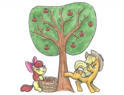 Size: 1280x979 | Tagged: safe, artist:zladdsmith, derpibooru import, apple bloom, applejack, pony, apple, apple tree, applebucking, bow, cowboy hat, duo, female, filly, foal, food, hair bow, hat, looking back, mare, marker drawing, siblings, simple background, sisters, tongue, tongue out, traditional art, tree, white background