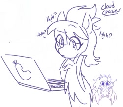 Size: 833x725 | Tagged: safe, artist:drawtheuniverse, derpibooru import, cloudchaser, pegasus, pony, computer, laptop computer, solo