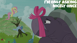 Size: 1280x720 | Tagged: safe, derpibooru import, edit, edited screencap, editor:quoterific, screencap, fluttershy, spike, dragon, between dark and dawn, apple, apple tree, giant tortoise, mr. tortoisnap, tree, winged spike, wings