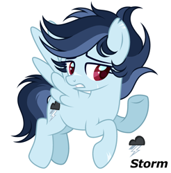 Size: 2430x2472 | Tagged: safe, artist:dustyygrey, artist:mint-light, derpibooru import, oc, oc only, oc:storm, pegasus, base used, cutie mark, female, mare, offspring, parent:rainbow dash, parent:soarin', parents:soarindash, pegasus oc, reference sheet, scar, simple background, solo, white background