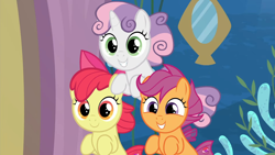 Size: 1920x1080 | Tagged: safe, derpibooru import, screencap, apple bloom, scootaloo, sweetie belle, seapony (g4), season 8, surf and/or turf, spoiler:s08, 1080p, adorabloom, cute, cutealoo, cutie mark crusaders, cutie mark cuties, diasweetes, female, happy, implied twilight sparkle, looking at you, reaction image, sea-mcs, seaponified, seapony apple bloom, seapony scootaloo, seapony sweetie belle, smiling, species swap, trio