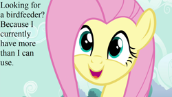 Size: 1280x720 | Tagged: safe, derpibooru import, edit, edited screencap, screencap, fluttershy, it ain't easy being breezies, bronybait, cute, shyabetes, speech, talking, text