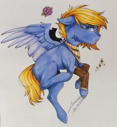 Size: 2728x2970 | Tagged: safe, artist:lunciakkk, derpibooru import, oc, oc only, pegasus, pony, clothes, commission, scarf, solo, traditional art