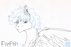 Size: 1280x853 | Tagged: safe, artist:whitegwava, derpibooru import, firefly, pegasus, pony, g1, doodle, ear piercing, eyelashes, female, fluffy hair, long eyelashes, monochrome, piercing, shoulder fluff, simple background, solo, white background