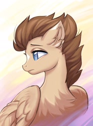 Size: 1638x2210 | Tagged: safe, artist:margony, derpibooru import, oc, oc only, oc:drave, pegasus, pony, abstract background, brown mane, bust, chest fluff, coat markings, ear fluff, ears, facial markings, female, folded wings, looking back, mare, solo, star (coat marking), tan coat, wings