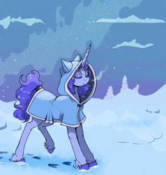 Size: 1446x1516 | Tagged: safe, artist:paskanaakka, derpibooru exclusive, derpibooru import, oc, oc only, oc:midnight dew, pony, unicorn, cloak, clothes, colored hooves, female, hood, mare, snow, solo, stars, tail, tail wrap, unshorn fetlocks, winter