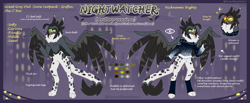 Size: 8100x3326 | Tagged: safe, artist:greenmaneheart, derpibooru import, oc, oc:nightwatcher, anthro, griffon, absurd resolution, clothes, female, reference sheet, solo, sunglasses, sweater