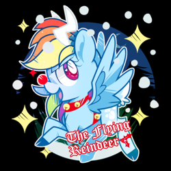 Size: 1000x1000 | Tagged: safe, artist:yokokinawa, derpibooru import, rainbow dash, deer, deer pony, original species, peryton, black background, reindeer dash, simple background, solo