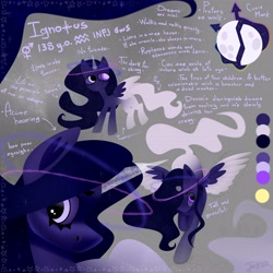 Size: 4096x4096 | Tagged: safe, artist:irinamar, derpibooru import, oc, oc only, alicorn, pony, alicorn oc, horn, reference sheet, solo, wings