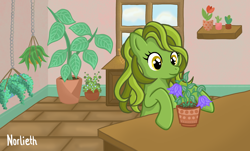 Size: 1788x1080 | Tagged: safe, artist:norlieth, derpibooru import, oc, oc only, earth pony, pony, background, digital art, earth pony oc, female, flower, full background, half body, herbs, pony oc, room, smiling, solo, window