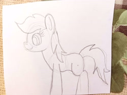 Size: 4160x3120 | Tagged: safe, artist:platinumdrop, derpibooru import, earth pony, monochrome, random pony, sketch, solo, traditional art