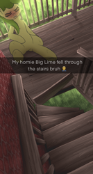 Size: 1500x2791 | Tagged: safe, artist:cherry pop, derpibooru import, oc, oc:key lime, earth pony, blushing, brick wall, caption, dirty, emoji, lying down, meme, on back, snapchat, solo, stairs, sweat, text, wood