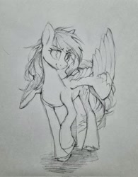 Size: 1601x2048 | Tagged: safe, artist:laymy, derpibooru import, rainbow dash, pegasus, pony, female, grayscale, mare, monochrome, pencil drawing, smiling, solo, traditional art