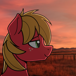 Size: 708x707 | Tagged: safe, artist:sefastpone, derpibooru import, big macintosh, earth pony, pony, bust, digital art, freckles, male, real life background, solo, stallion, sunset