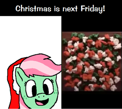 Size: 533x475 | Tagged: safe, artist:panoramhusky, derpibooru import, minty, earth pony, christmas, cookie, cookie dough, female, food, freckles, hat, holiday, mare, meme, santa hat