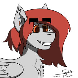 Size: 1000x1000 | Tagged: safe, artist:solder point, derpibooru import, oc, oc only, oc:scarlett lane, pegasus, pony, cel shading, cheek fluff, chest fluff, ear fluff, ear piercing, earring, ears, eyebrows, eyebrows visible through hair, grey fur, happy, industrial piercing, jewelry, male, pegasus oc, piercing, red mane, shading, signature, simple background, smiling, solo, stallion, thick eyebrows, transparent background