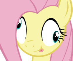 Size: 1198x1000 | Tagged: safe, derpibooru import, fluttershy, pegasus, pony, :p, derp, female, silly, silly pony, simple background, solo, tongue, tongue out, white background