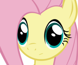 Size: 1198x1000 | Tagged: safe, derpibooru import, fluttershy, :/, female, simple background, solo, white background