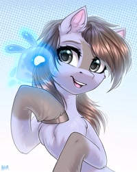 Size: 2000x2500 | Tagged: safe, artist:hakaina, derpibooru import, oc, oc only, earth pony, pony, chest fluff, ear fluff, ears, earth pony oc, open mouth, open smile, smiling, solo, unshorn fetlocks