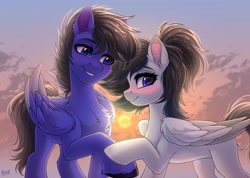 Size: 3500x2486 | Tagged: safe, artist:hakaina, derpibooru import, oc, oc only, pegasus, pony, blushing, chest fluff, duo, ear fluff, ears, folded wings, looking at someone, pegasus oc, smiling, sun, unshorn fetlocks, wings