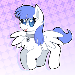 Size: 2000x2000 | Tagged: safe, artist:saveraedae, derpibooru import, oc, oc:snow pup, pegasus, pony, :p, collar, commission, female, flying, mare, solo, tongue, tongue out