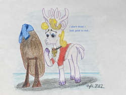 Size: 4032x3024 | Tagged: safe, artist:opti, derpibooru import, oc, oc:guiding light, deer, reindeer, deerified, female, mirror, reindeerified, solo, species swap, traditional art