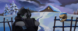 Size: 1920x768 | Tagged: safe, artist:dipfanken, derpibooru import, oc, oc only, pony, accordion, album cover, black metal, musical instrument, skull, snow, solo, winter