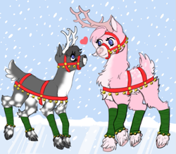 Size: 571x501 | Tagged: safe, artist:luna_mcboss, derpibooru import, oc, oc only, oc:double stuff, oc:yamire, deer, reindeer, bell, blaze (coat marking), blue background, blue eyes, bridle, chest fluff, clothes, cloven hooves, coat markings, deer oc, deer tail, facial markings, feathered fetlocks, fluffy, gray coat, halter, harness, heart, horns, jingle bells, leg warmers, mottled coat, non-pony oc, oc x oc, pink coat, raised leg, shipping, simple background, snow, snowfall, tack, tail