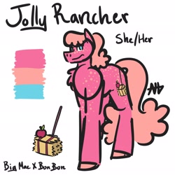 Size: 2048x2048 | Tagged: safe, artist:justdontfall, derpibooru import, oc, oc only, oc:jolly rancher, earth pony, pony, earth pony oc, female, freckles, mare, name, offspring, parent:big macintosh, parent:bon bon, parents:bonmac, simple background, smiling, solo, white background