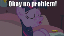 Size: 960x540 | Tagged: safe, edit, edited screencap, editor:undeadponysoldier, screencap, spike, twilight sparkle, twilight sparkle (alicorn), alicorn, dragon, earth pony, pony, princess spike (episode), animated, bags under eyes, bed, bed hair, confused, derp, discovery family logo, faic, female, freckles, just put the hay in the apple and eat the candle, male, mare, meme, stallion, talking, tired, wat, wtf face