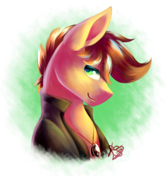 Size: 2300x2420 | Tagged: safe, artist:prettyshinegp, derpibooru import, oc, oc only, earth pony, pony, abstract background, bust, clothes, earth pony oc, male, signature, smiling, solo, stallion