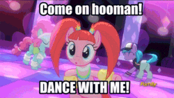 Size: 800x450 | Tagged: safe, edit, edited screencap, editor:undeadponysoldier, screencap, azure velour, flashdancer, pacific glow, earth pony, pony, the saddle row review, animated, breaking the fourth wall, cute, dance floor, dancing, discovery family logo, edited gif, female, flexible, fun, happy, implied human, intentional spelling error, looking at you, mare, misspelling, pigtails, tail whip, talking to viewer, tap dancing