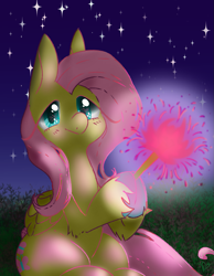 Size: 921x1185 | Tagged: safe, artist:pagophasia, derpibooru exclusive, derpibooru import, fluttershy, pegasus, pony, colored hooves, cute, eye reflection, female, grass, impossibly long eyelashes, looking at you, night, raised hoof, raised leg, reflection, shyabetes, sitting, smiling, smiling at you, solo, sparkler (firework), stars, unshorn fetlocks, wings