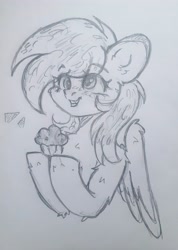 Size: 2737x3853 | Tagged: safe, artist:starkey, derpibooru import, derpy hooves, pegasus, pony, bust, chest fluff, ear fluff, ears, fluffy, food, grin, muffin, portrait, sketch, smiling, solo, traditional art