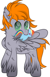 Size: 2039x3091 | Tagged: safe, artist:lincolnbrewsterfan, derpibooru exclusive, derpibooru import, rainbow dash, oc, oc:dreamy orange, pegasus, pony, 2023 community collab, butt fluff, chest fluff, chin fluff, cloud, cute, cute face, cute smile, derpibooru community collaboration, ear fluff, ears, female, fluffy mane, fluffy tail, green eyes, grooming, holding, looking at you, male, mare, mouth hold, multicolored mane, multicolored tail, neck fluff, ocbetes, one wing out, orange mane, orange tail, pegasus oc, plushie, preening, rainbow dash plushie, simple background, smiling, smiling at you, solo, spread wings, stallion, stallion oc, striped mane, striped tail, tail, transparent background, unshorn fetlocks, wing fluff, wings