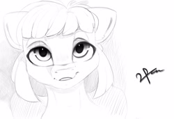 Size: 1256x860 | Tagged: safe, artist:mrulol, derpibooru import, oc, oc only, earth pony, pony, sketch