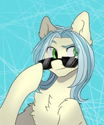 Size: 1707x2048 | Tagged: safe, artist:chibadeer, derpibooru import, oc, oc only, earth pony, pony, chest fluff, eye clipping through hair, smiling, solo, sunglasses